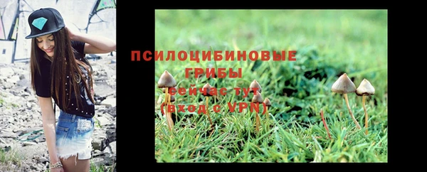 мяу мяу мука Верхнеуральск