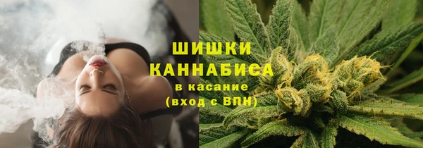 apvp Верхний Тагил