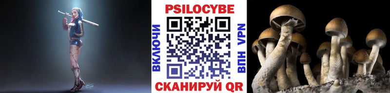 Псилоцибиновые грибы Magic Shrooms  Купить где  Краснослободск 